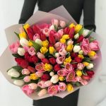 Тюльпаны радужные